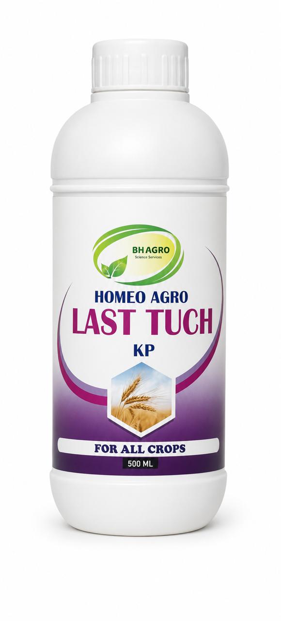 Last Tuch KP
